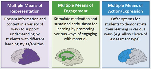 Universal Design for Learning principles
